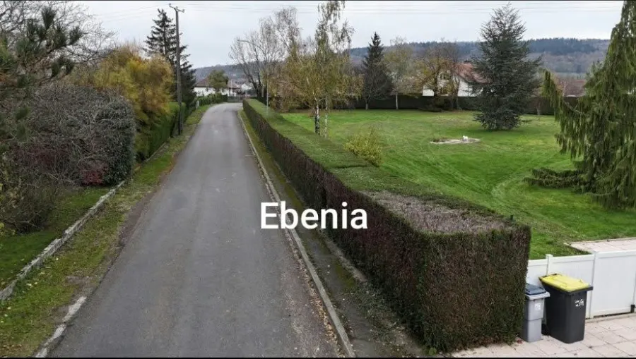 Entretien des espaces verts par Ebenia dans le Doubs